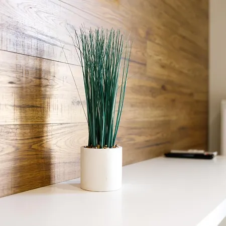 Διαμέρισμα Lux *